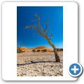 Sossusvlei