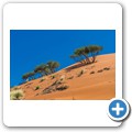 Sossusvlei