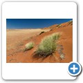 Sossusvlei