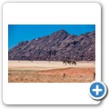 Sossusvlei