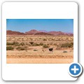 Sossusvlei - Strau&szlig;