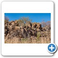 Pilanesberg NP