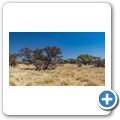 Mokala NP