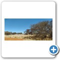 Mokala NP