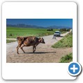 Seven Passes Road