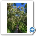 Seven Passes Road - Wanderung zum "Big Tree"