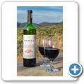 Tanagra Wine Farm - Hill Cottage