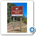 Whale Coast Route