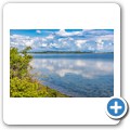 Schleim&uuml;ndung