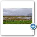 Moine Mhor National Nature Reserve