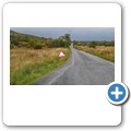 Moine Mhor National Nature Reserve