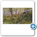 Fahrt nach Ardnamurchan