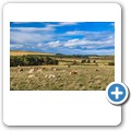 Loanhead of Daviot Stone Circle