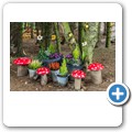 The Fairy Woods at Fedderate