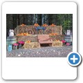 The Fairy Woods at Fedderate