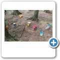 The Fairy Woods at Fedderate