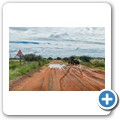 Anfahrt auf den Mokala NP