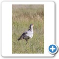 Sekret&auml;r