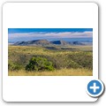 Mountain Zebra NP