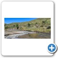 Mountain Zebra NP