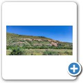 Mountain Zebra NP