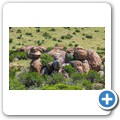 Mountain Zebra NP
