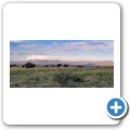 Mountain Zebra NP