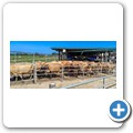Oakhurst Farm