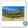 Franschhoek - Mont Rochelle Wine Farm