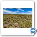 De Hoop Nature Reserve