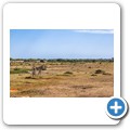 De Hoop Nature Reserve