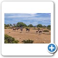 De Hoop Nature Reserve