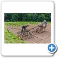 Bio-Bauernhof "Gro&szlig;holz"