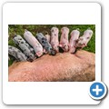 Bio-Bauernhof "Gro&szlig;holz"