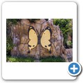 Western Cape Butterfly Sanctuary