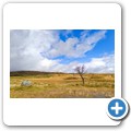 Rannoch Moor