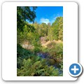 Allt Mor Falls