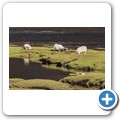 Loch Slapin