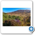 Allt Dubh View Point