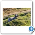 Neist Point