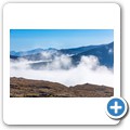 Nebel