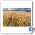 Scott's View - Standing Stone