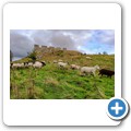 Hume Castle