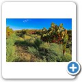 Tanagra Wine and Guest Farm
