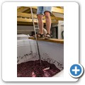 Tanagra Wine and Guest Farm
