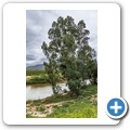 Arendsig Wines - am Breede-Ufer
