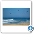 Maitland Mouth - Strand