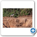 Addo NP - Schabrackenschakal