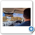 Addo NP - Elefant