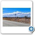 Fahrt nach Graaff-Reinet